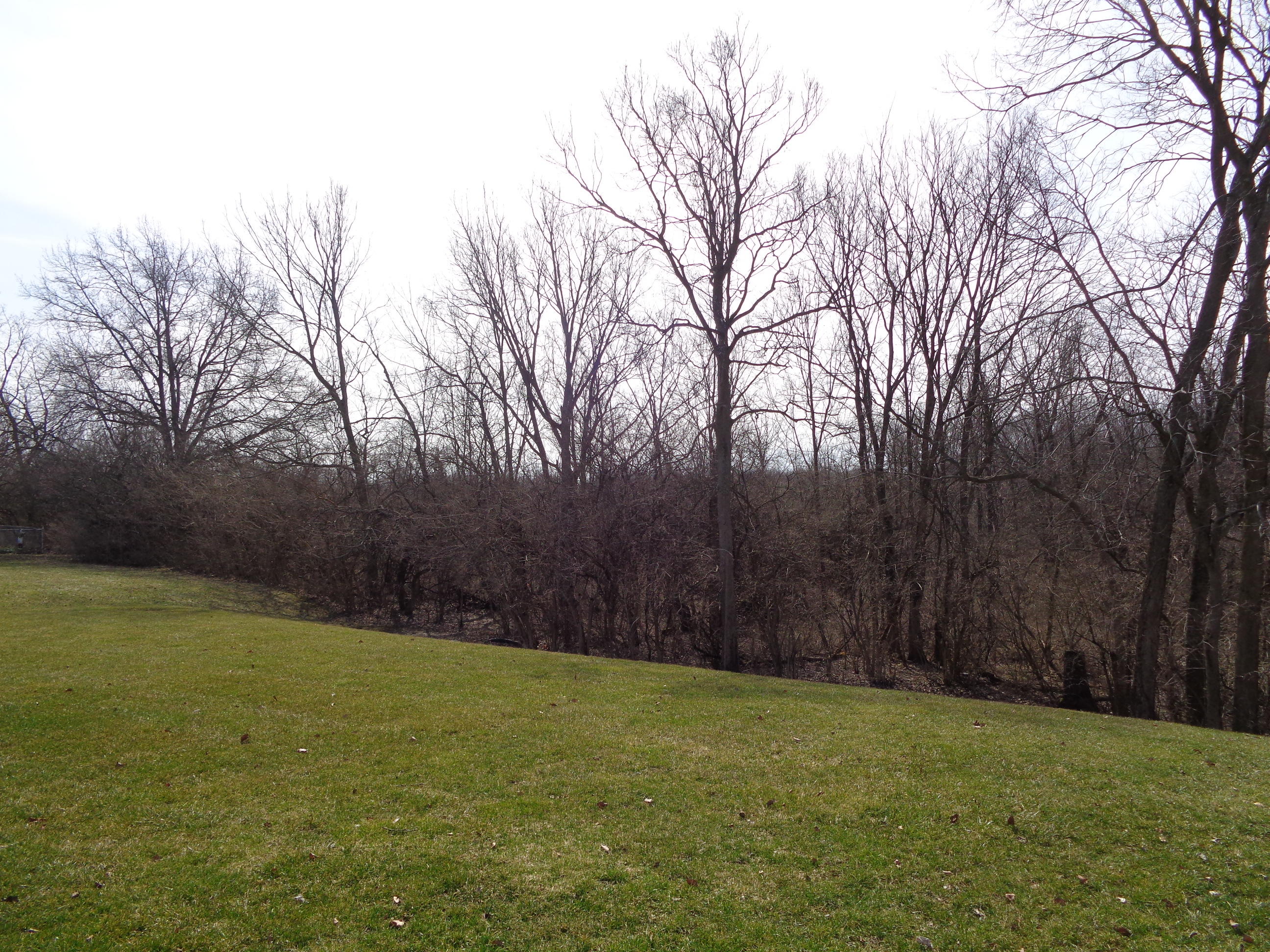 1283 Ryan Road Springfield, OH 45503 - Photo 37 of 39