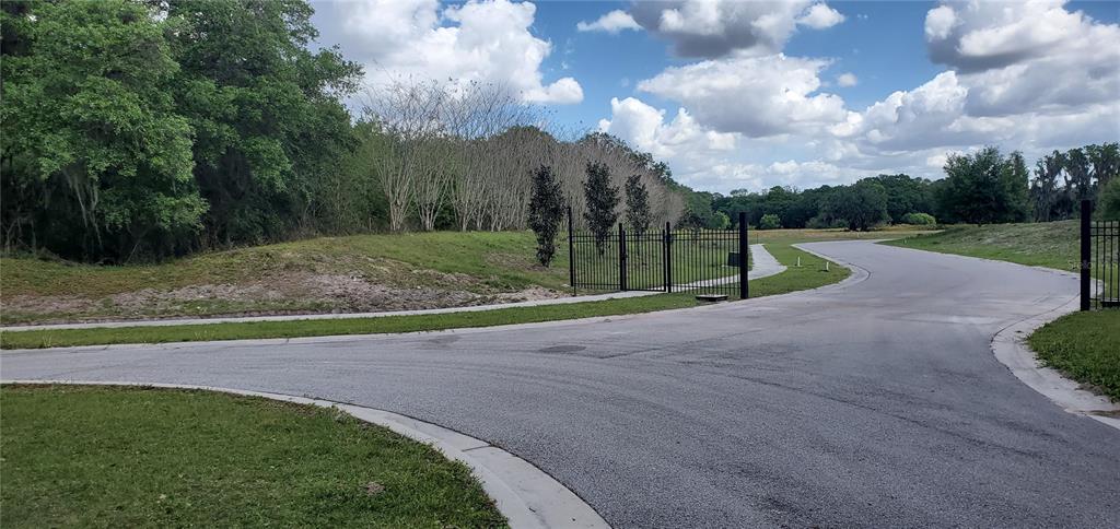 15311 Fishhawk Heights Road Lithia, FL 33547 - Photo 4 of 6
