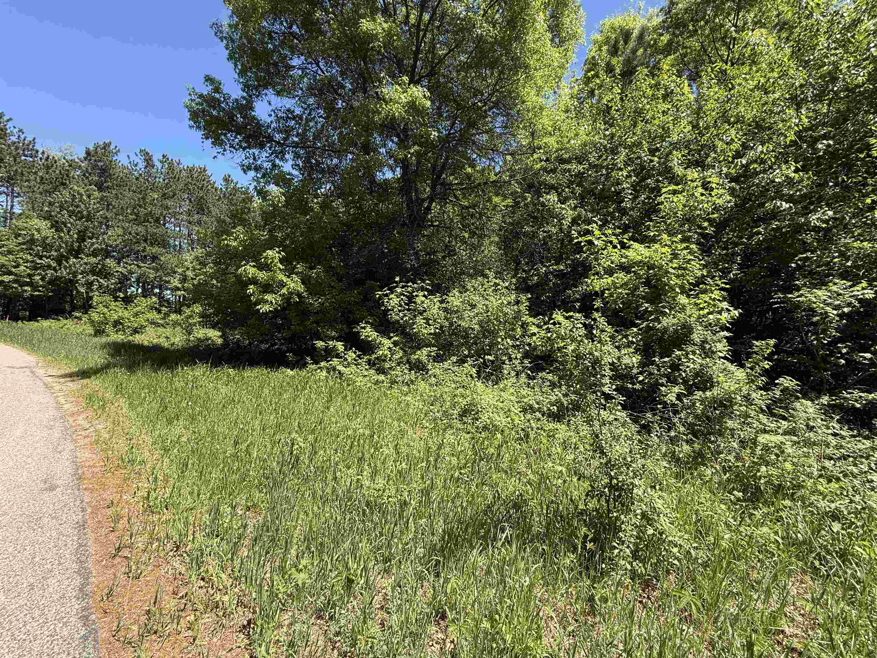 Lot 16 Arrowhead Road Amherst Junction, WI 54407 - Photo 4 of 17