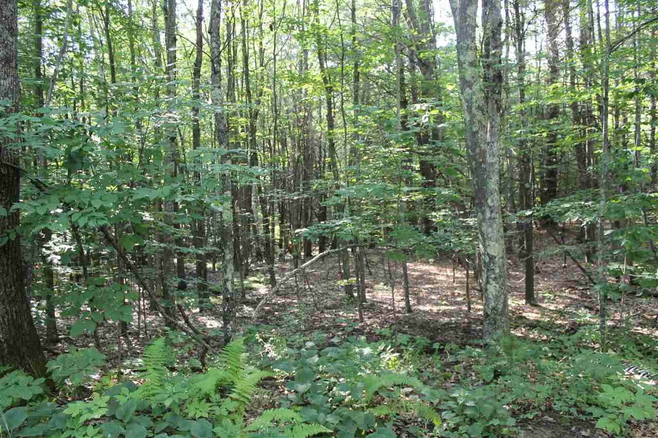 0 Dow Road Gilmanton, NH 03237 - Photo 12 of 17 Gallery Image 12