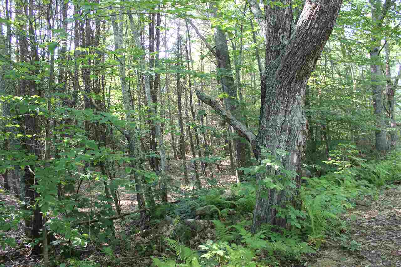 0 Dow Road Gilmanton, NH 03237 - Photo 13 of 17 Gallery Image 13