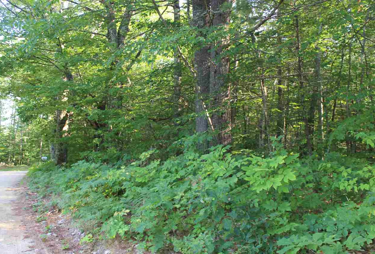 0 Dow Road Gilmanton, NH 03237 - Photo 14 of 17 Gallery Image 14
