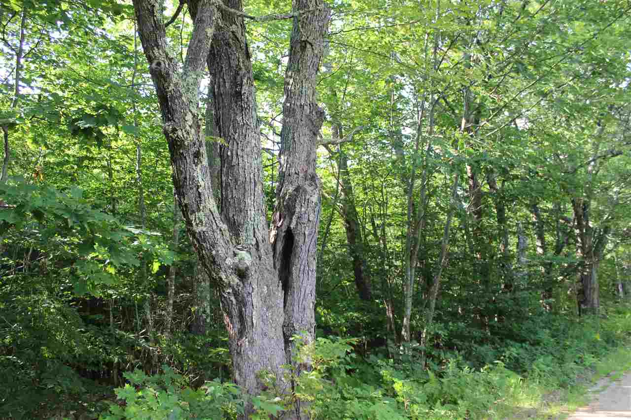 0 Dow Road Gilmanton, NH 03237 - Photo 8 of 17 Gallery Image 8
