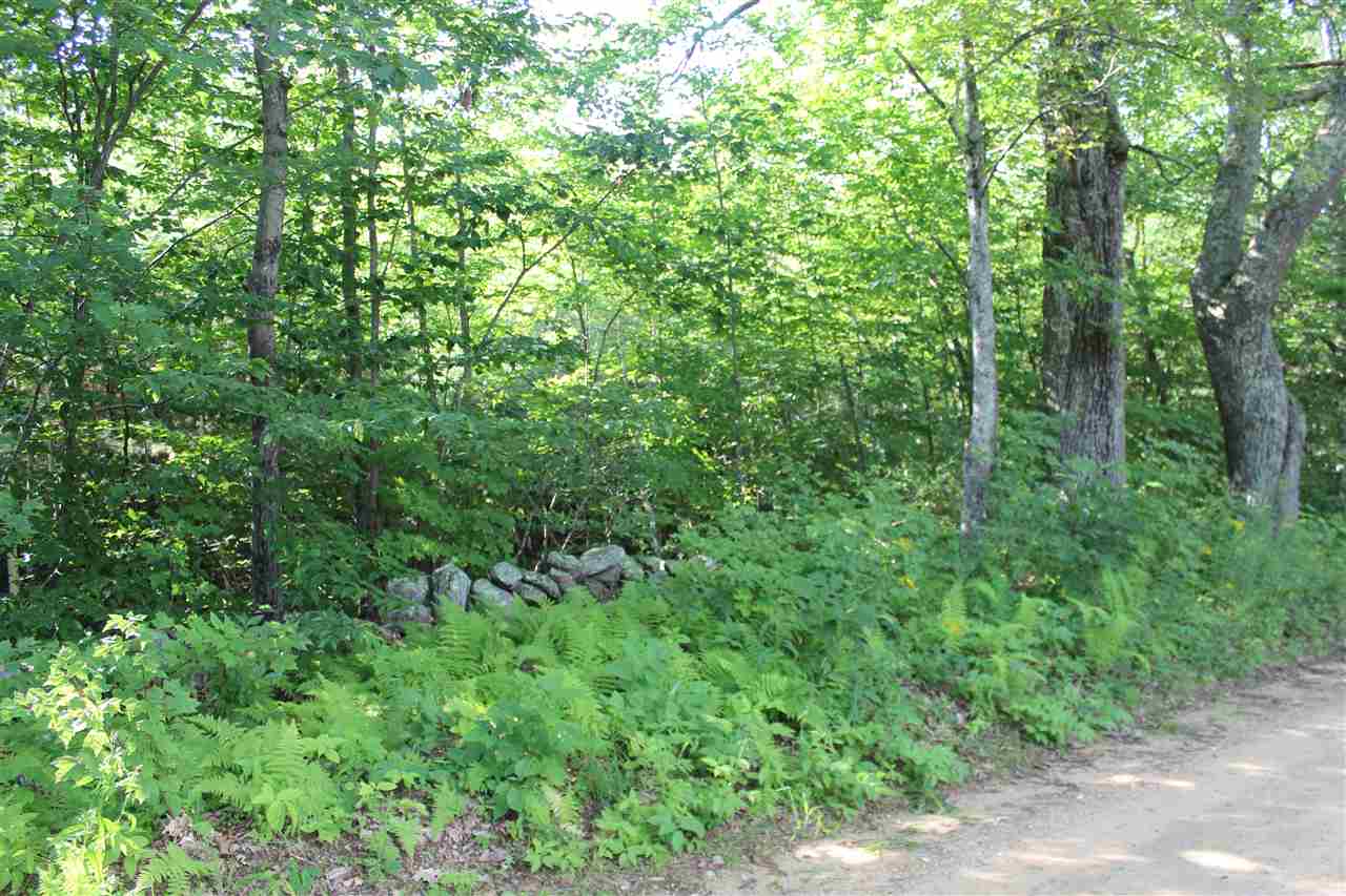0 Dow Road Gilmanton, NH 03237 - Photo 10 of 17 Gallery Image 10