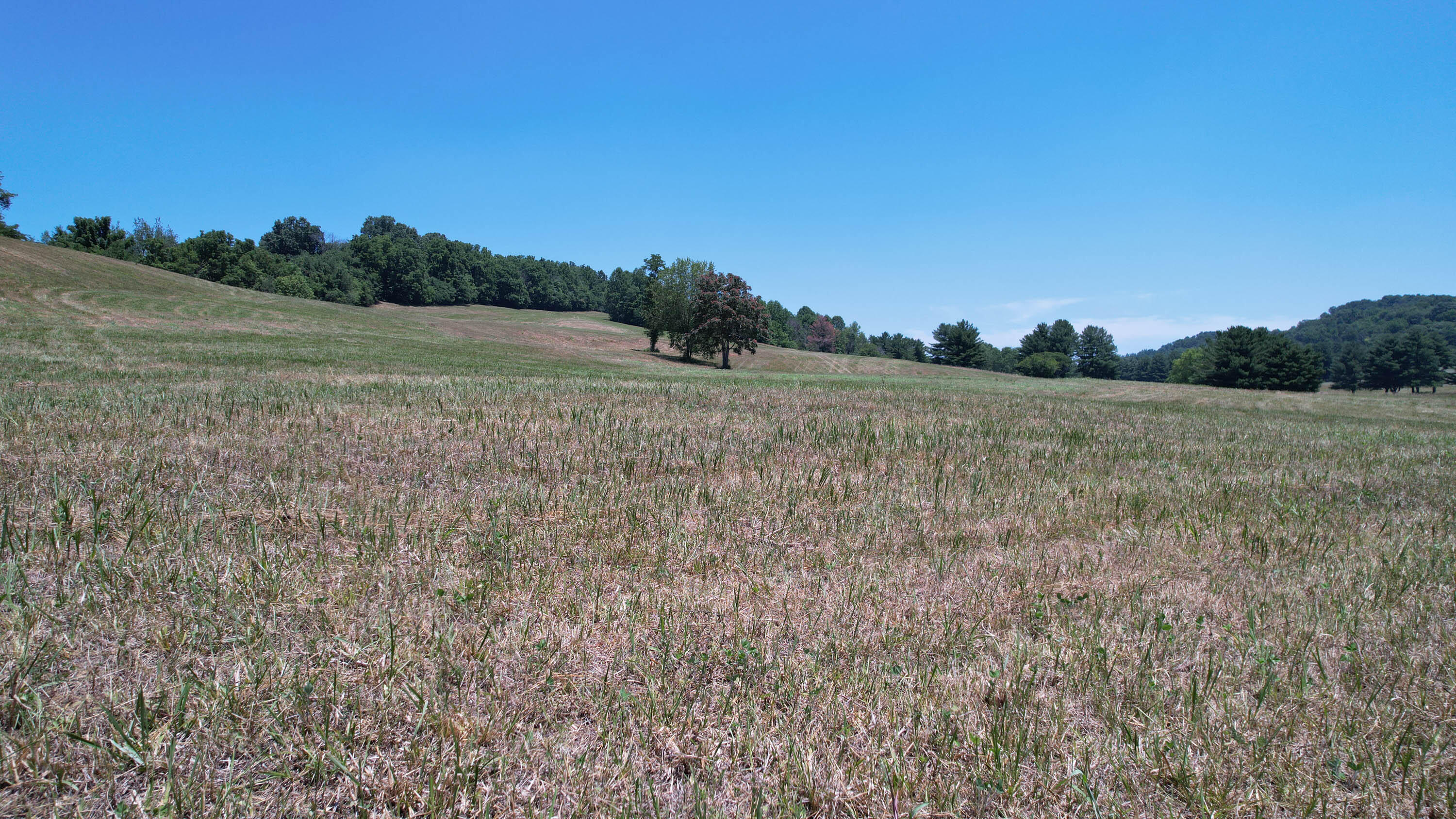 Tbd Graysburg Hills Road Chuckey, TN 37641 - Photo 3 of 50 Drone-3