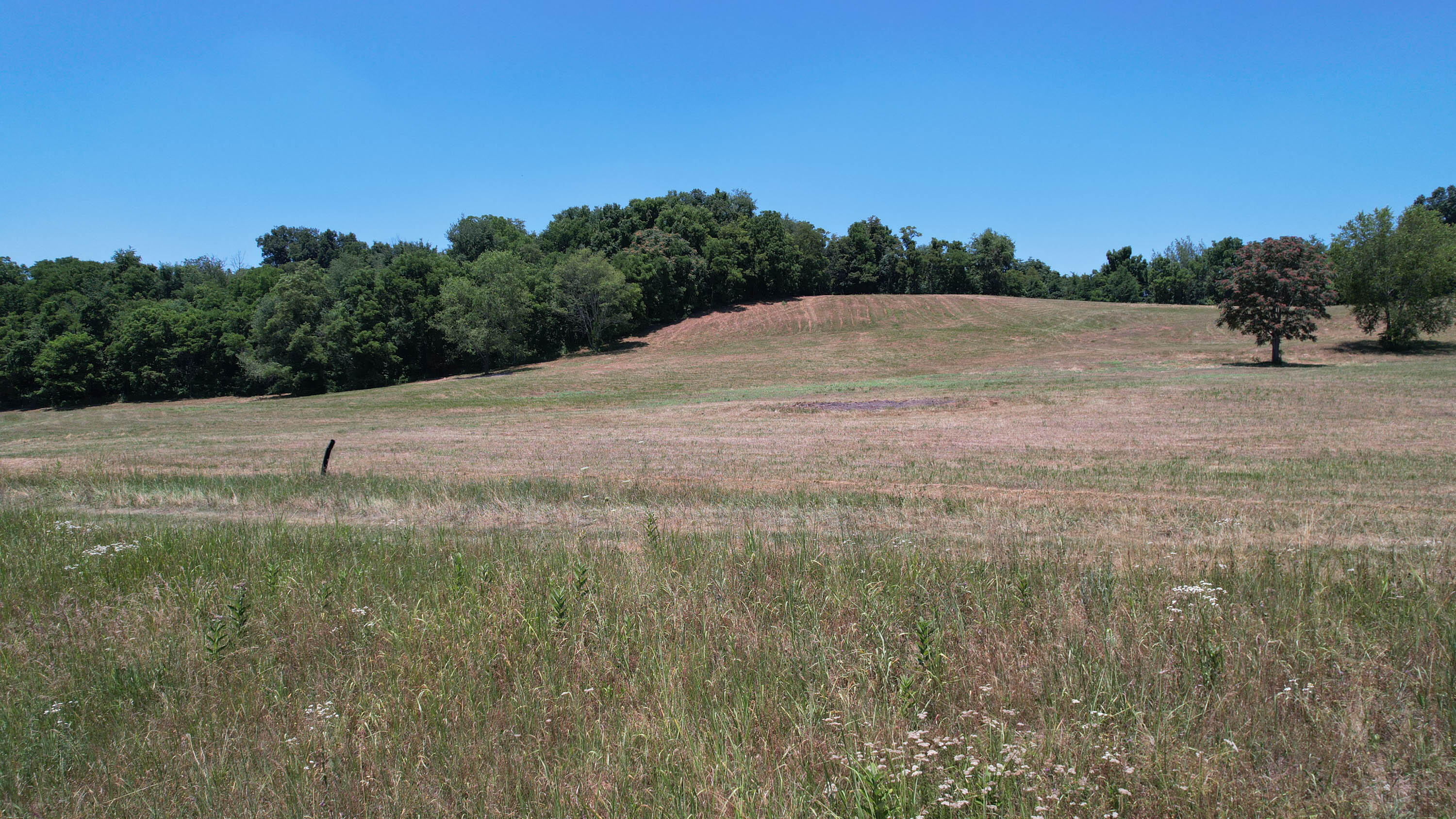 Tbd Graysburg Hills Road Chuckey, TN 37641 - Photo 6 of 50 Drone-6