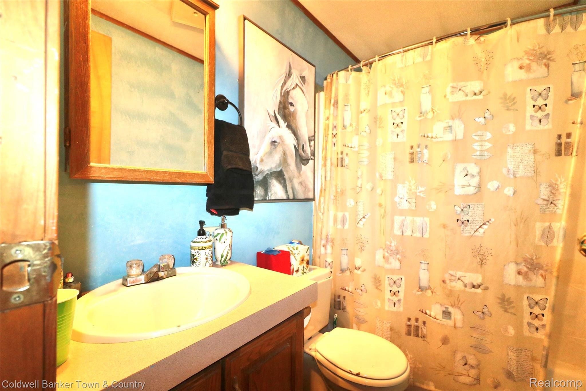 5353 Warner Road Fowlerville, MI 48836 - Photo 29 of 30 Full Bath