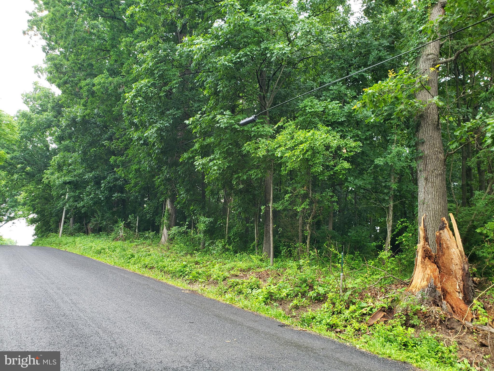 Line Drive White Post, VA 22663 - Photo 2 of 2