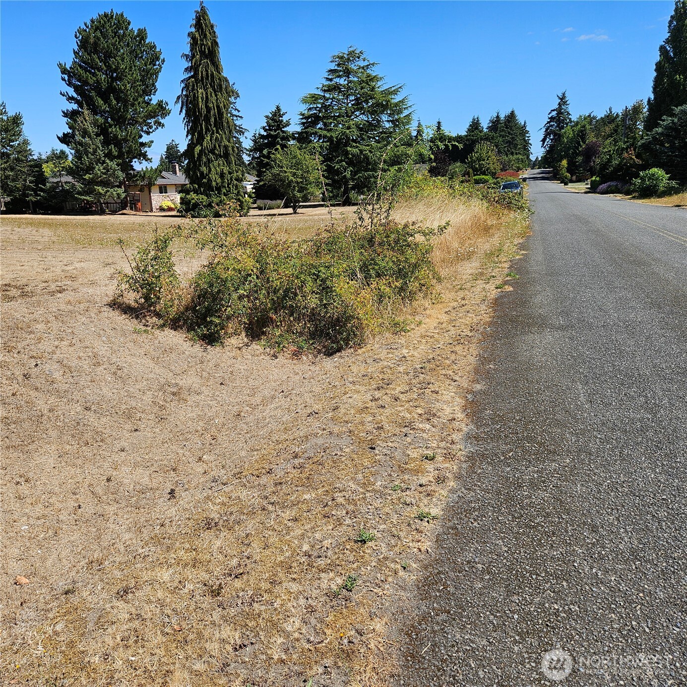 -xx Williamson Road Sequim, WA 98382 - Photo 7 of 22 a view of a yard with a tree