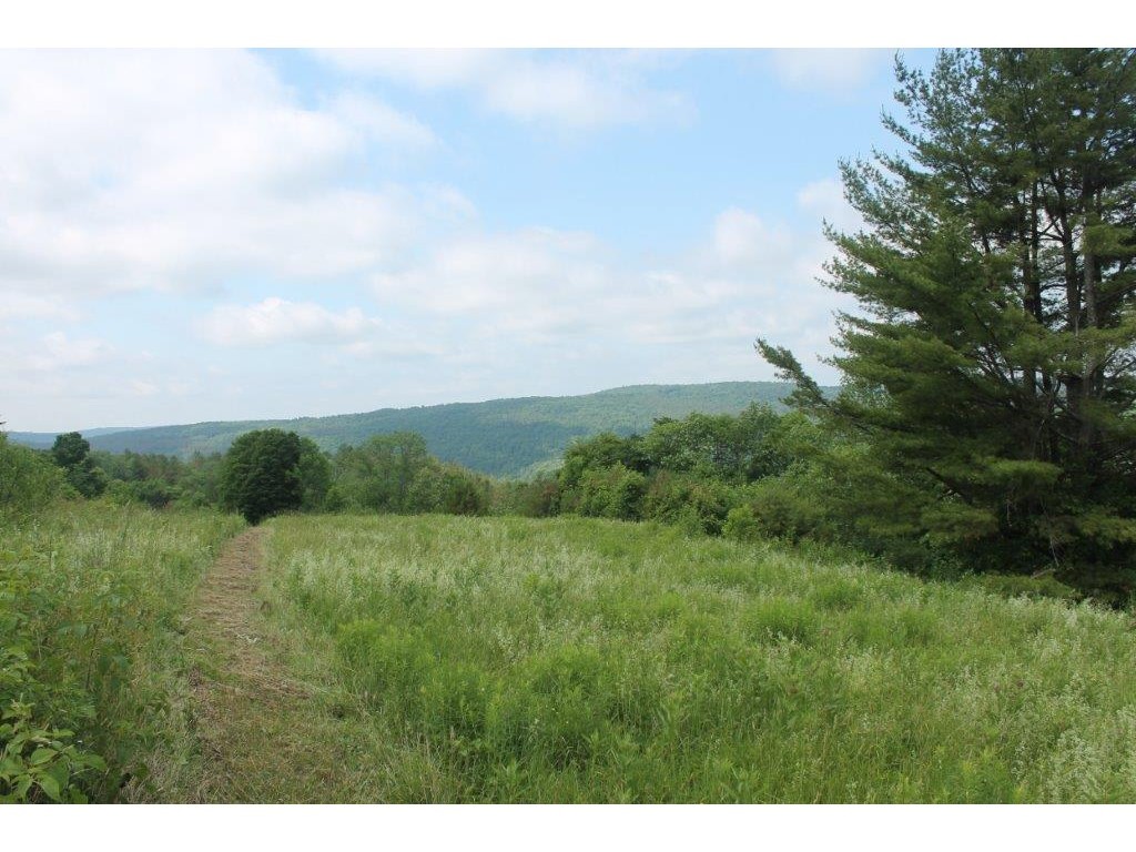 669 East Hill Road Brookfield, VT 05036 - Photo 3 of 20