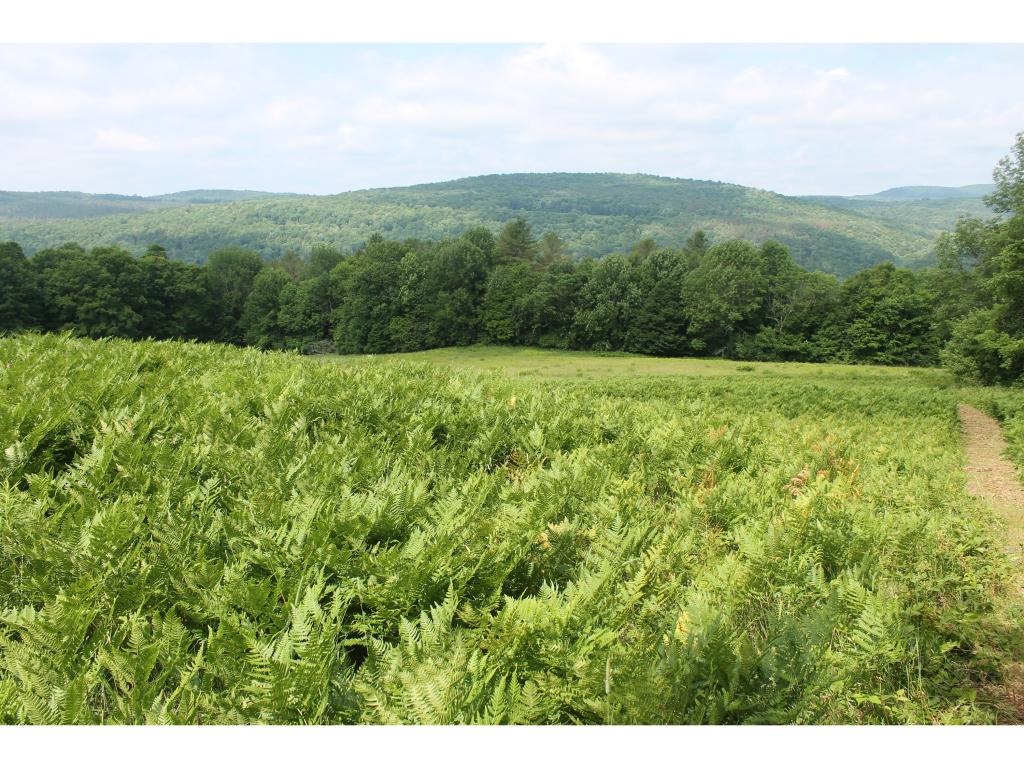669 East Hill Road Brookfield, VT 05036 - Photo 5 of 20