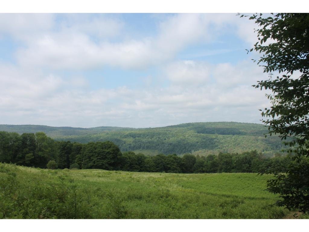669 East Hill Road Brookfield, VT 05036 - Photo 9 of 20