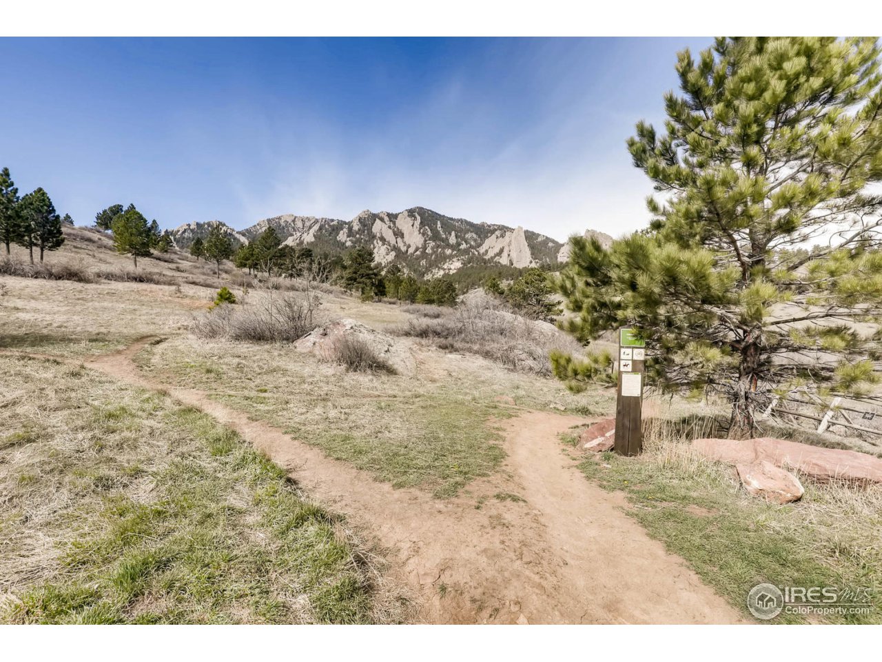 2610 Regis Drive Boulder, CO 80305 - Photo 25 of 29 a view of dirt field with trees around