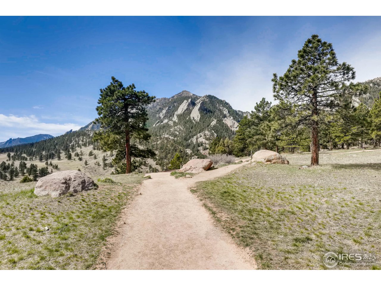2610 Regis Drive Boulder, CO 80305 - Photo 28 of 29 a view of a yard with a tree
