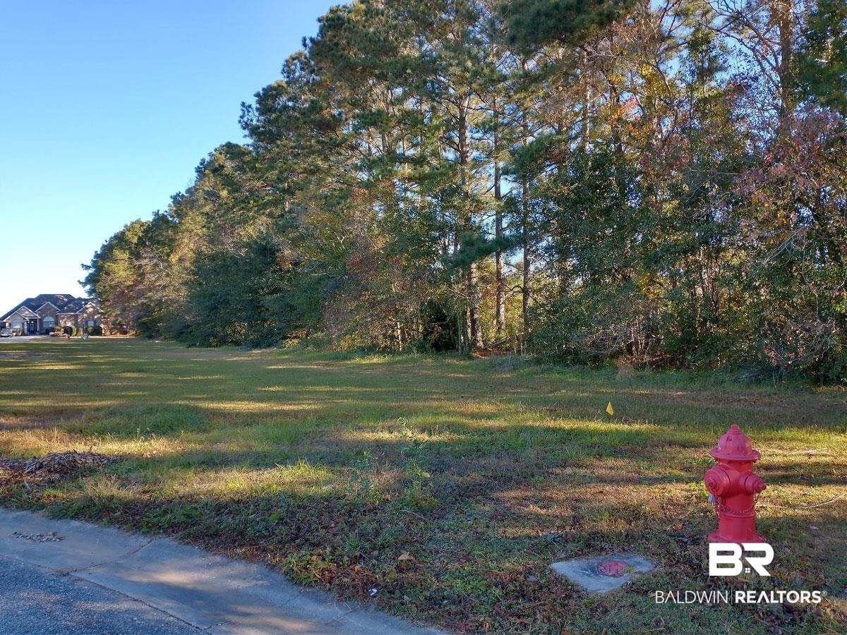 0 Widgeon Court Daphne, AL 36526 - Photo 4 of 8 Lot 40
