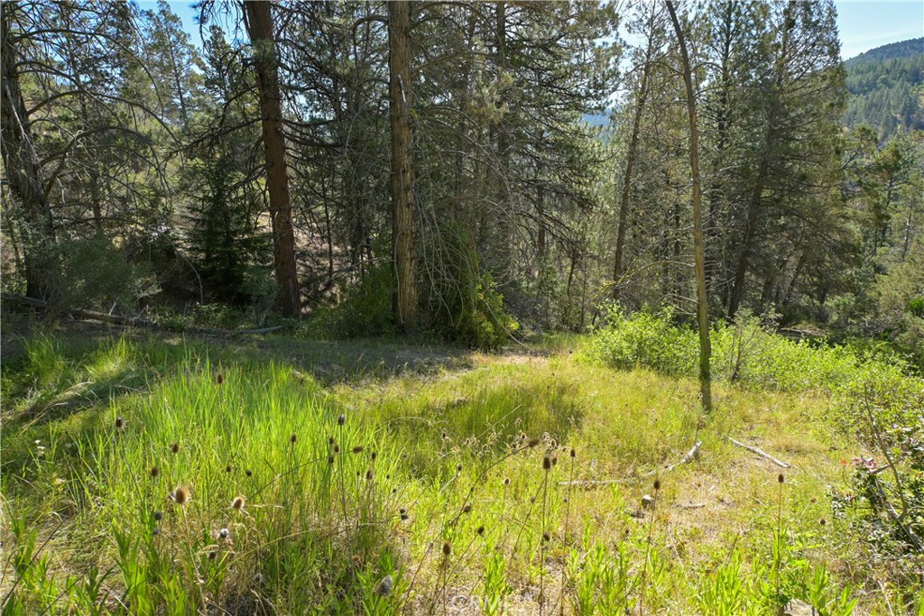 1 Duzel Creek Road Fort Jones, CA 96032 - Photo 9 of 38