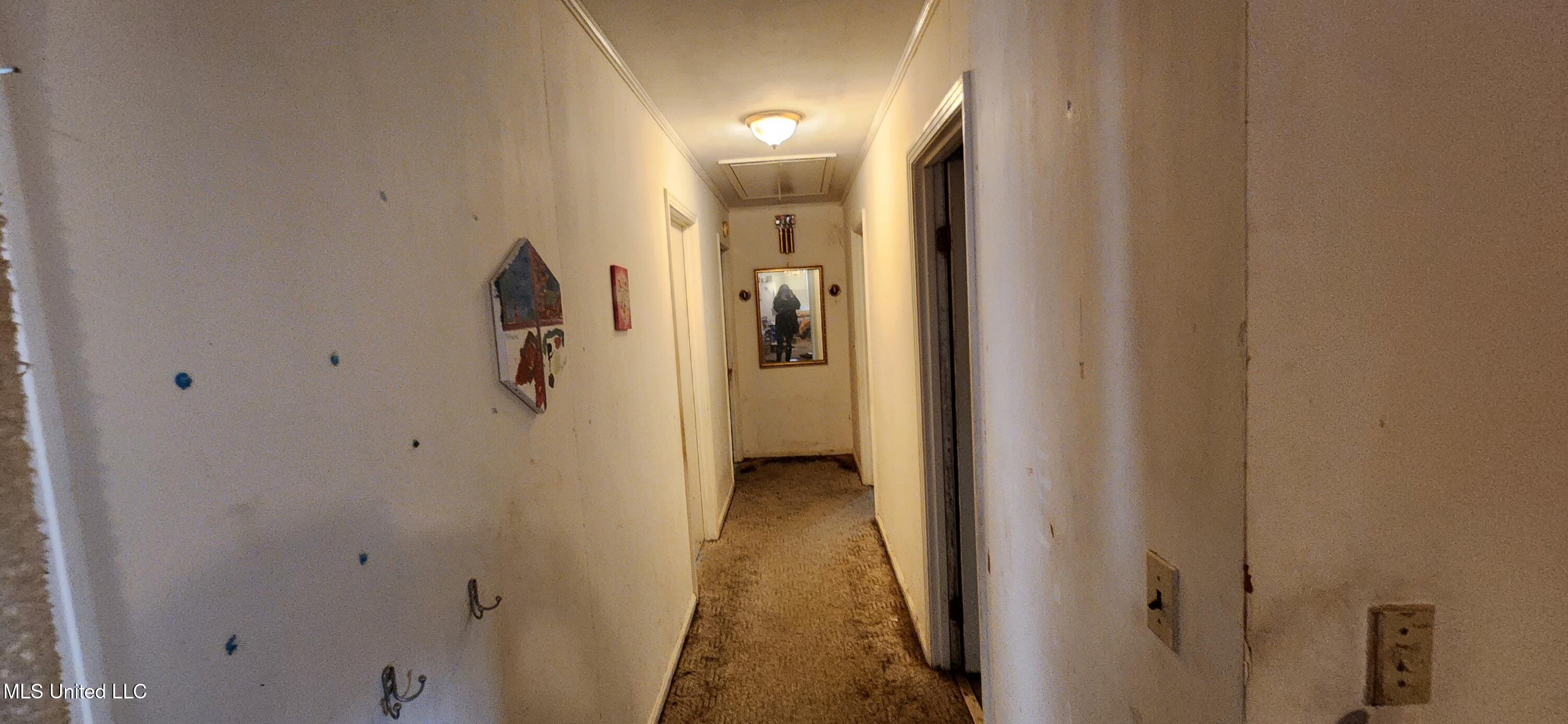 28 County Road 243 Iuka, MS 38852 - Photo 18 of 34 Copy of 20260212_143427