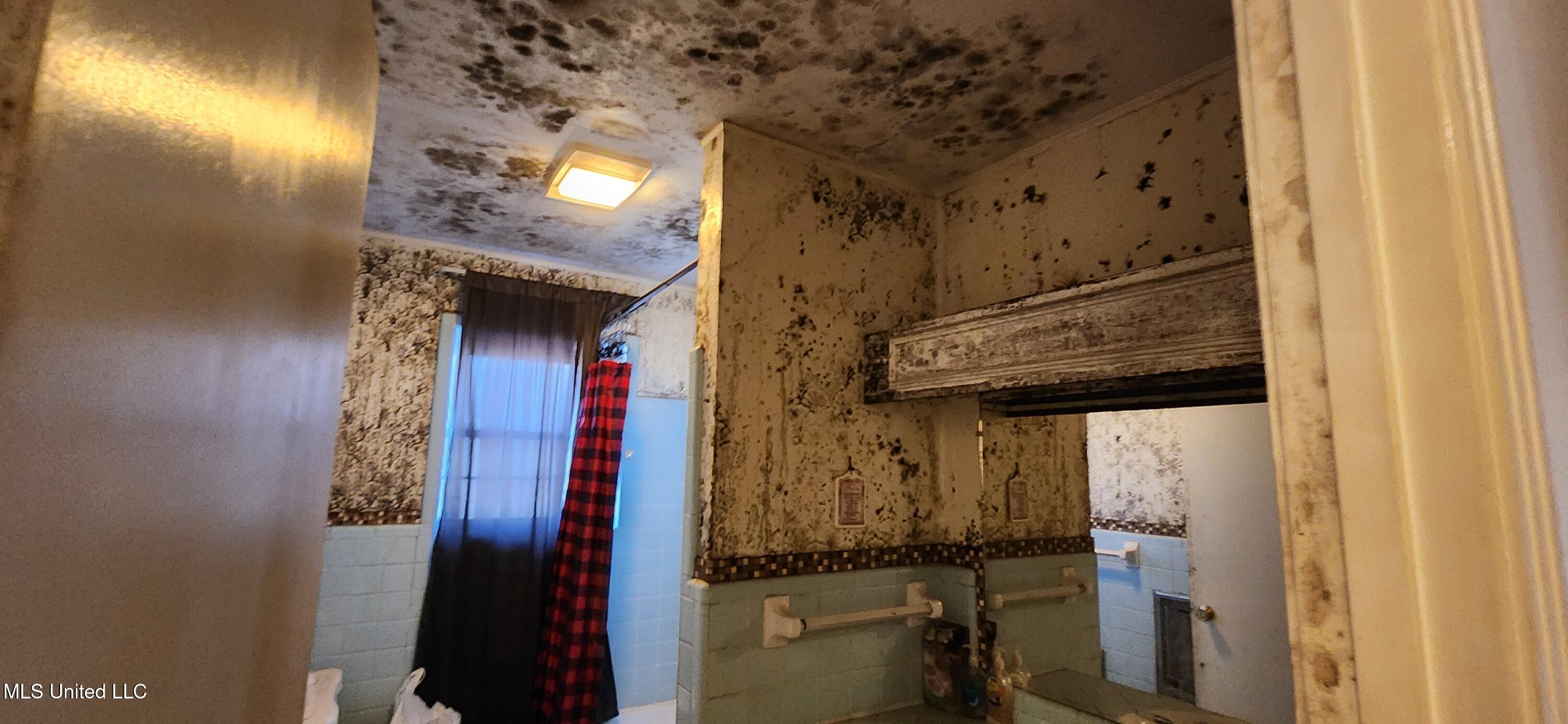 28 County Road 243 Iuka, MS 38852 - Photo 29 of 34 Copy of 20260212_143740