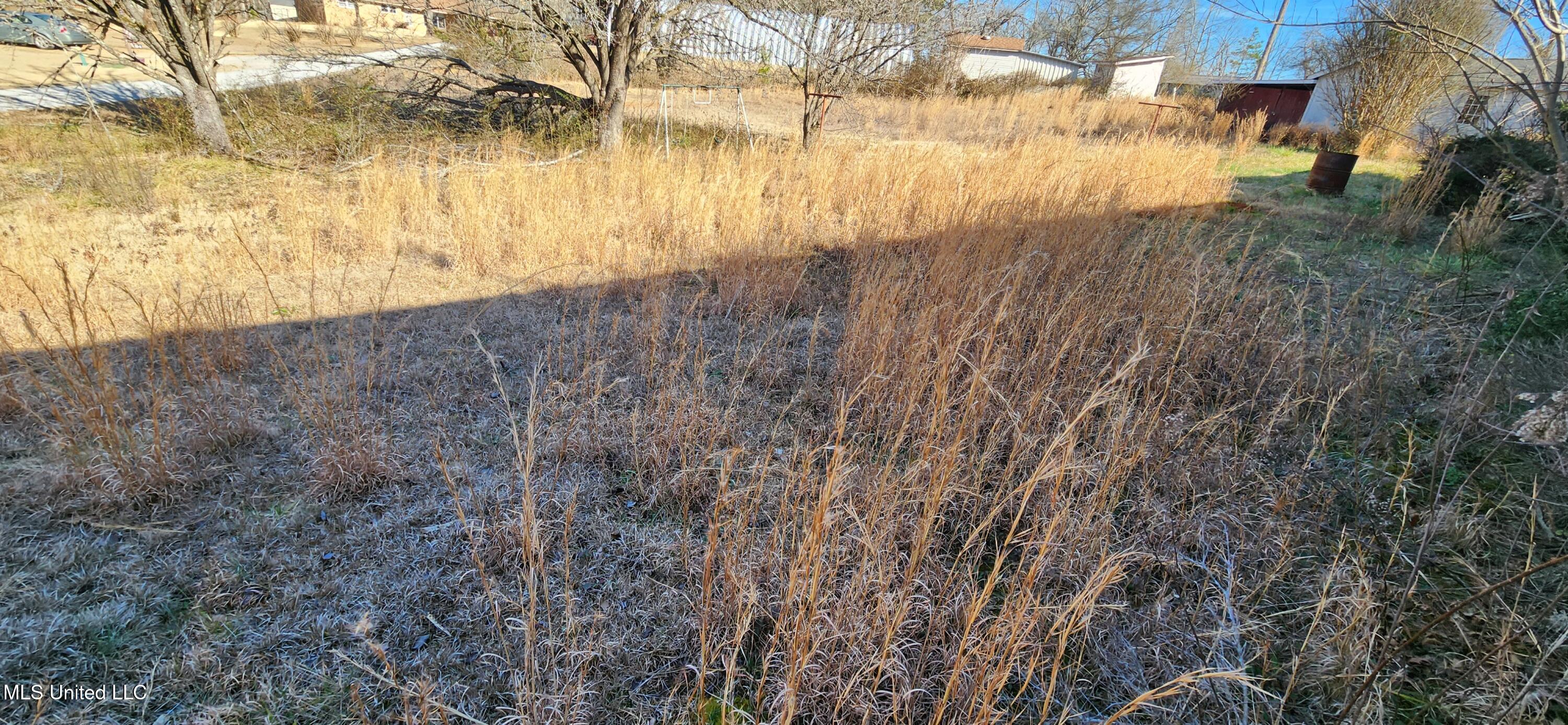 28 County Road 243 Iuka, MS 38852 - Photo 34 of 34 Copy of 20260212_144152