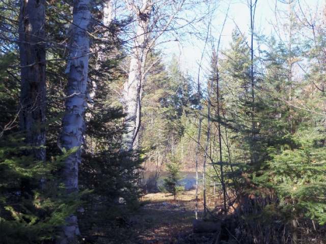 Lot 5 Lake Of The Falls Road Mercer, WI 54547 - Photo 9 of 20 Gallery Image 9