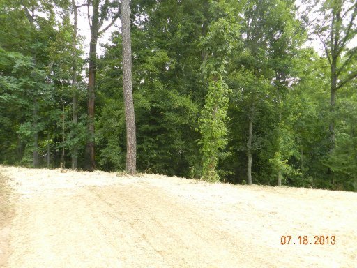 3539 Boulder Point Lane Powell, TN 37849 - Photo 20 of 21 Additional Photo