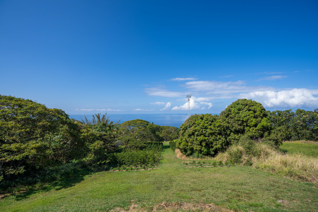 81-6219 Napoopoo Road Captain Cook, HI 96704 - Photo 11 of 28 Gallery Image 11