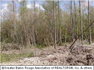 Lot 6 Arnold Road Walker, LA 70785 - Photo 1 of 1 Gallery Image 1