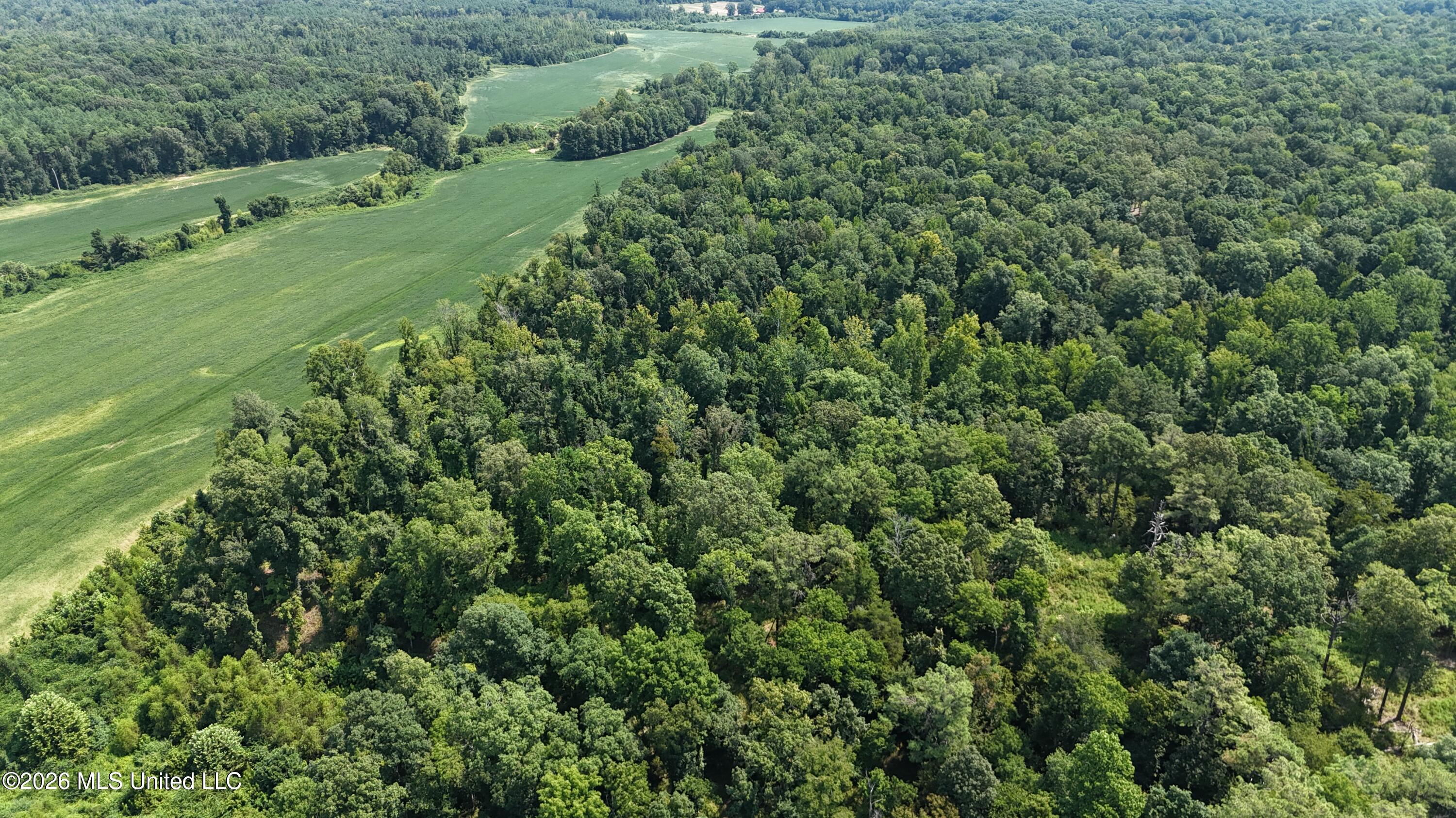 Barnacre Road Batesville, MS 38606 - Photo 22 of 28 DJI_20260805113217_0160_D