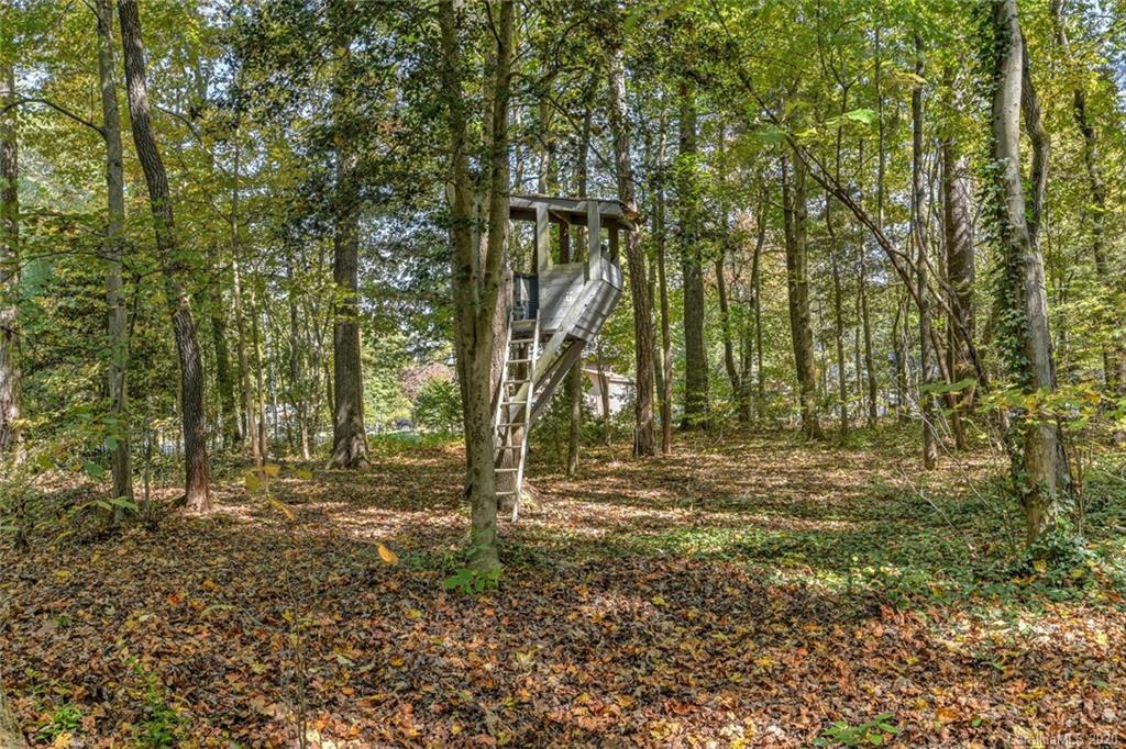 3 Greenleaf Road Fletcher, NC 28732 - Photo 3 of 31