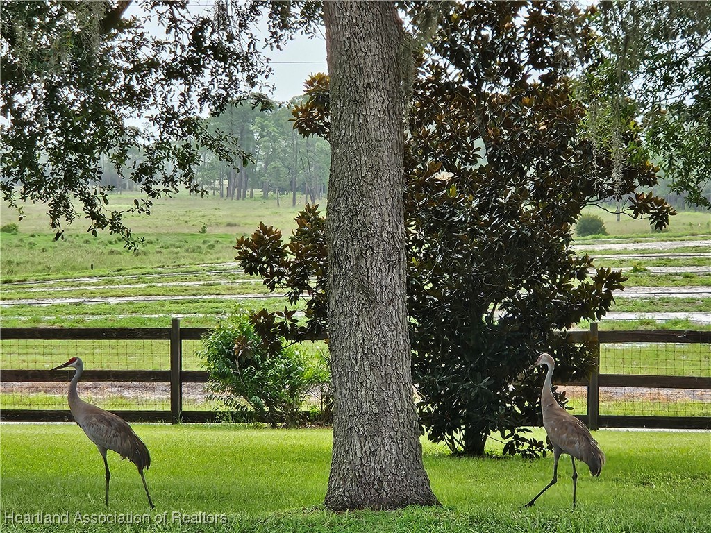 2287 Hartt Road Sebring, FL 33870 - Photo 10 of 30 Gallery Image 10