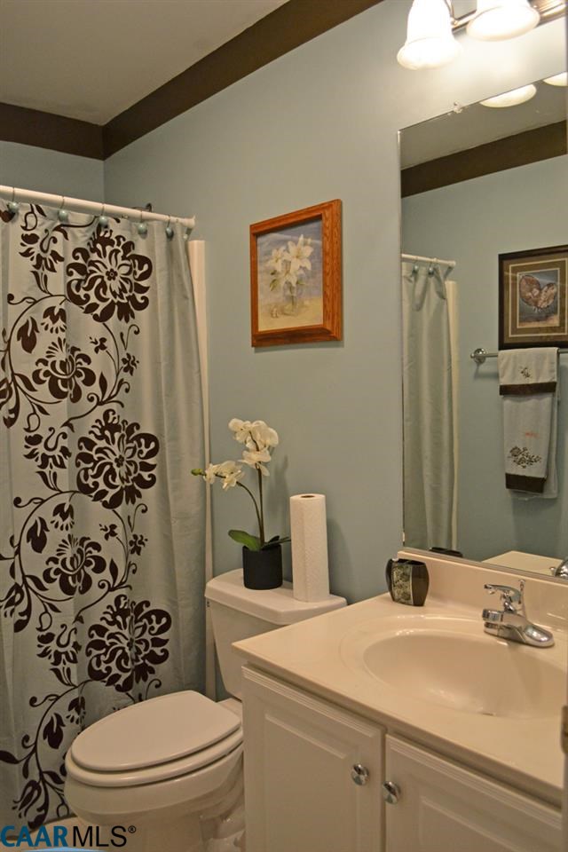 10 Out Of Bounds Road Palmyra, VA 22963 - Photo 16 of 19 a bathroom with a sink toilet and shower