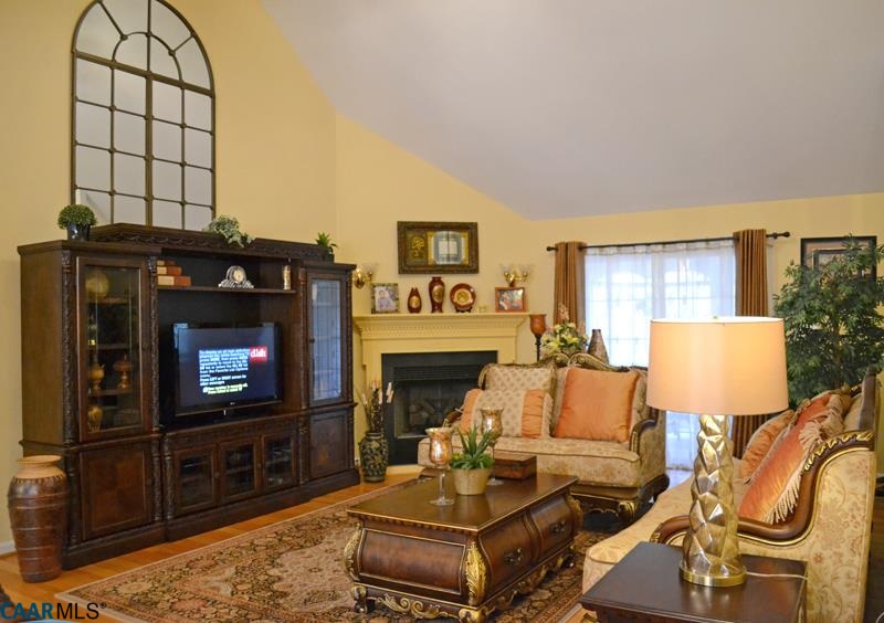 10 Out Of Bounds Road Palmyra, VA 22963 - Photo 5 of 19 a living room with furniture a flat screen tv and a fireplace