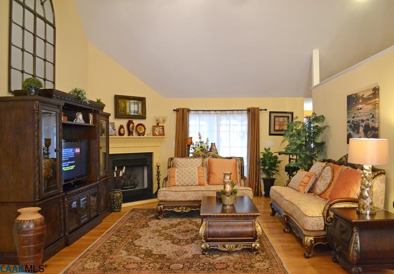 10 Out Of Bounds Road Palmyra, VA 22963 - Photo 8 of 19 a living room with furniture a flat screen tv and a fireplace