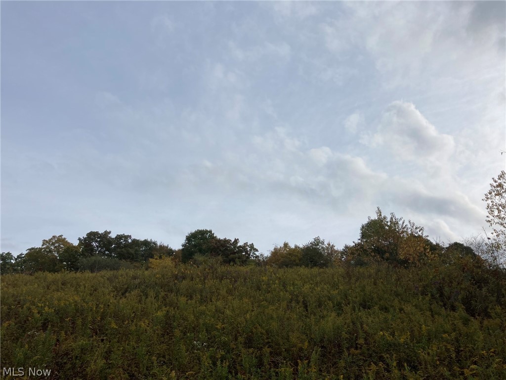 Tinney Road Dennison, OH 44621 - Photo 22 of 27