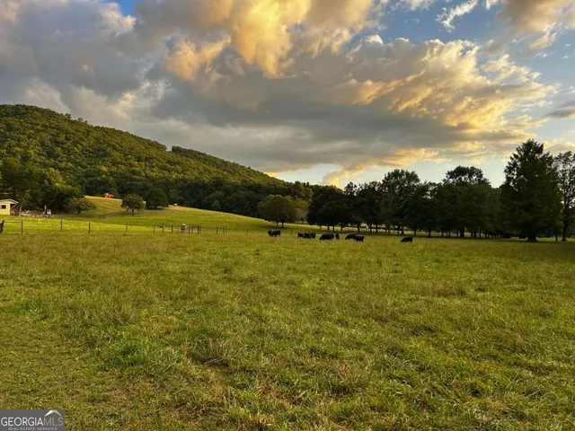 $5,499,000 | 3147 Old Highway 64 West, Warne, NC 28909