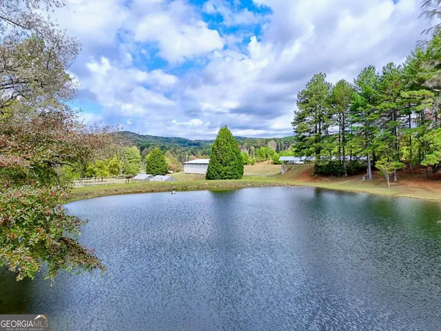 $5,499,000 | 3147 Old Highway 64 West, Warne, NC 28909