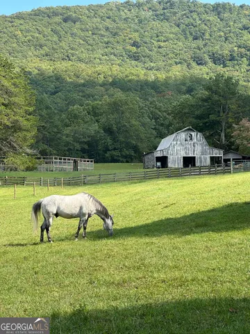 $5,499,000 | 3147 Old Highway 64 West, Warne, NC 28909