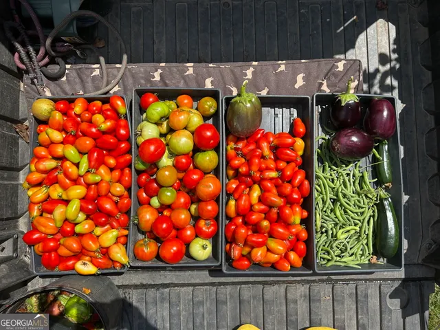 $5,499,000 | 3147 Old Highway 64 West, Warne, NC 28909