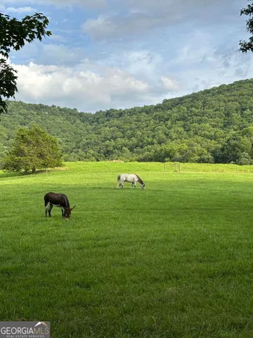 $5,499,000 | 3147 Old Highway 64 West, Warne, NC 28909