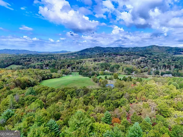 $5,499,000 | 3147 Old Highway 64 West, Warne, NC 28909