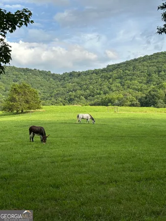 $5,499,000 | 3147 Old Highway 64 West, Warne, NC 28909