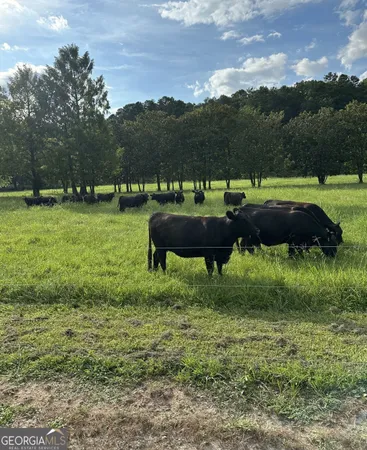 $5,499,000 | 3147 Old Highway 64 West, Warne, NC 28909