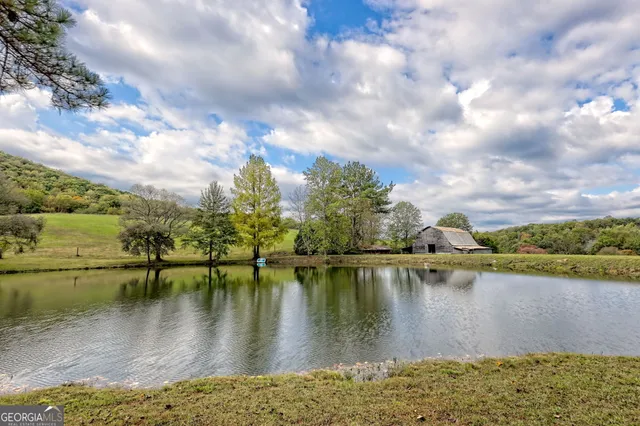 $5,499,000 | 3147 Old Highway 64 West, Warne, NC 28909