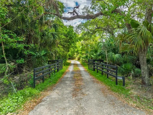a view of a pathway of a park