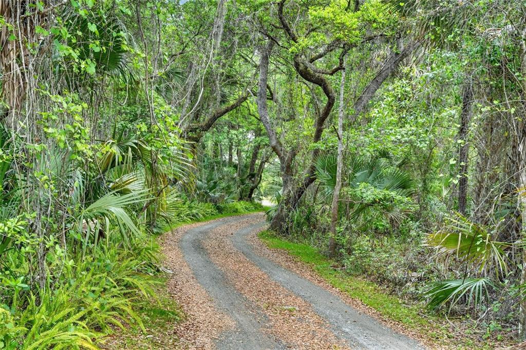 2200 Retreat Road Geneva, FL 32732 - Photo 4 of 59