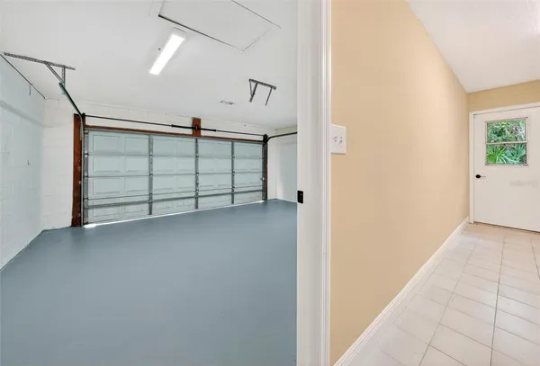 a view of a garden with plants