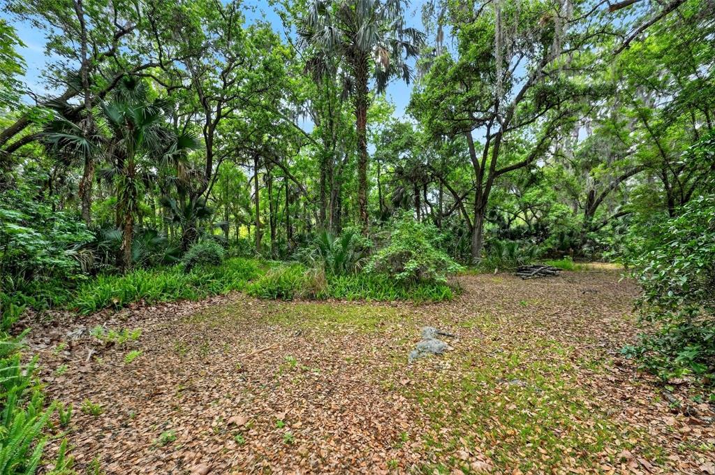 2200 Retreat Road Geneva, FL 32732 - Photo 55 of 59