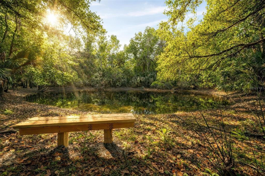 2200 Retreat Road Geneva, FL 32732 - Photo 10 of 59