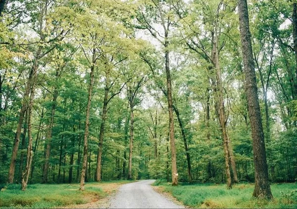 $295,560 | 127 Ironhorse Way, Dickson, TN 37055