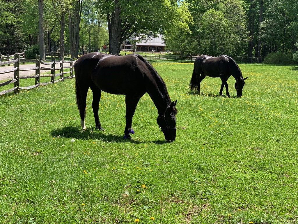 627 Bay Road Hamilton, MA 01982 - Photo 7 of 13 a view of backyard with table and chairs